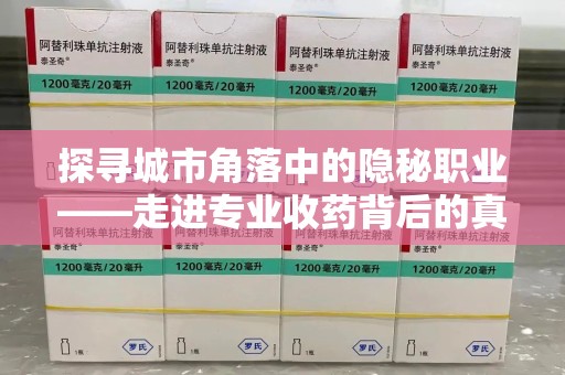 邯郸探寻城市角落中的隐秘职业——走进专业收药背后的真相