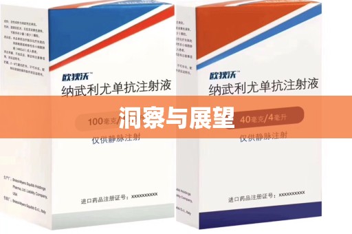 邯郸洞察与展望